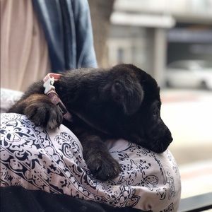 Meet your Posher, Michael